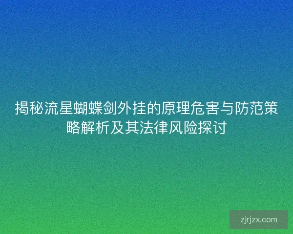 揭秘流星蝴蝶剑外挂的原理危害与防范策略解析及其法律风险探讨
